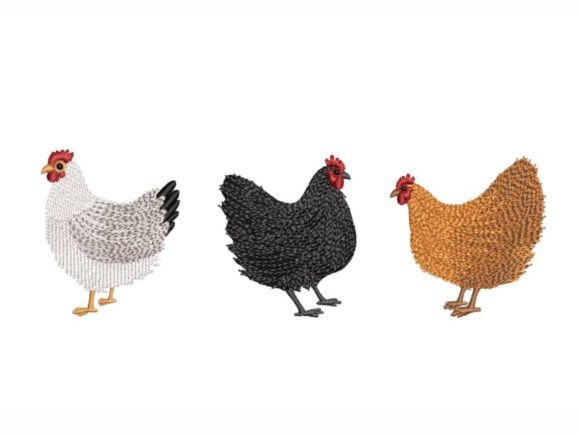 Three Chickens: A Designer's Review for Farm Projects